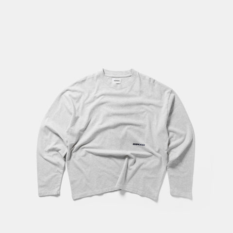 Winter 1 / Landscape Longsleeve - Ash