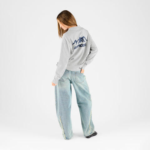Winter 1 / Landscape Longsleeve - Ash