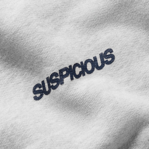 Winter 1 / Landscape Longsleeve - Ash