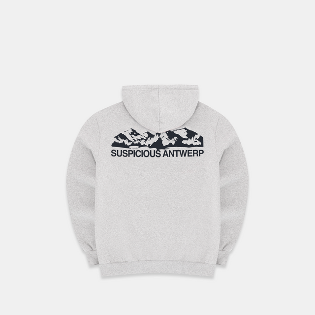The Landscape Hoodie - Heather