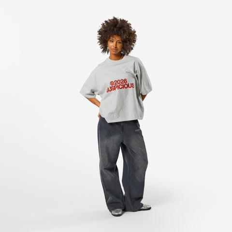 Spring 1 / S2026 Tee - Ash