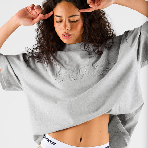 Summer Stripes / SSPCS Applique Tee - Ash