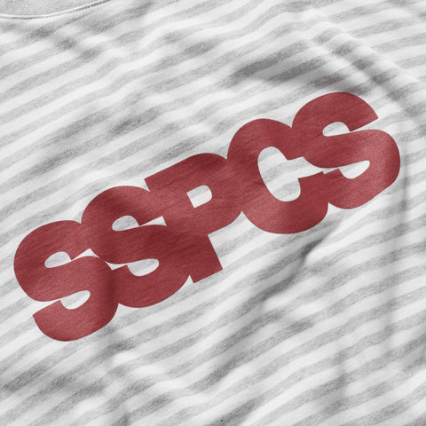 End Of Summer / SSPCS Striped Longsleeve - Ash