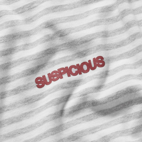 End Of Summer / SSPCS Striped Longsleeve - Ash