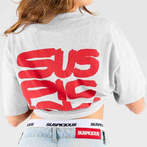 Bestsellers GTD / S(us)USPICOUS Tee - Ash