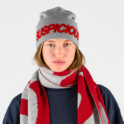 Fall 2 / Suspicious Beanie - Red & Heather Grey